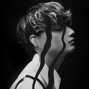 日韩毛片免费无码无毒
