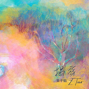 日韩毛片免费无码无毒
