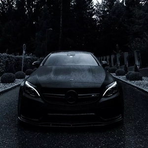 日韩毛片免费无码无毒
