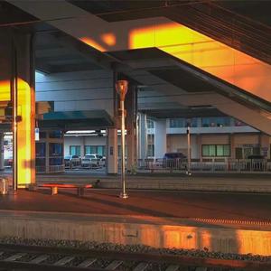 日韩毛片免费无码无毒
